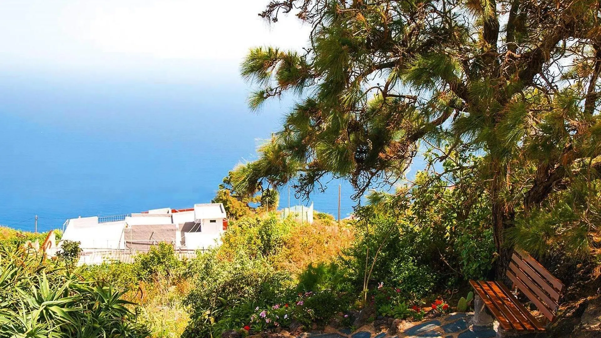 公寓 Finca La Hoya El Tanque Las Cruces  西班牙